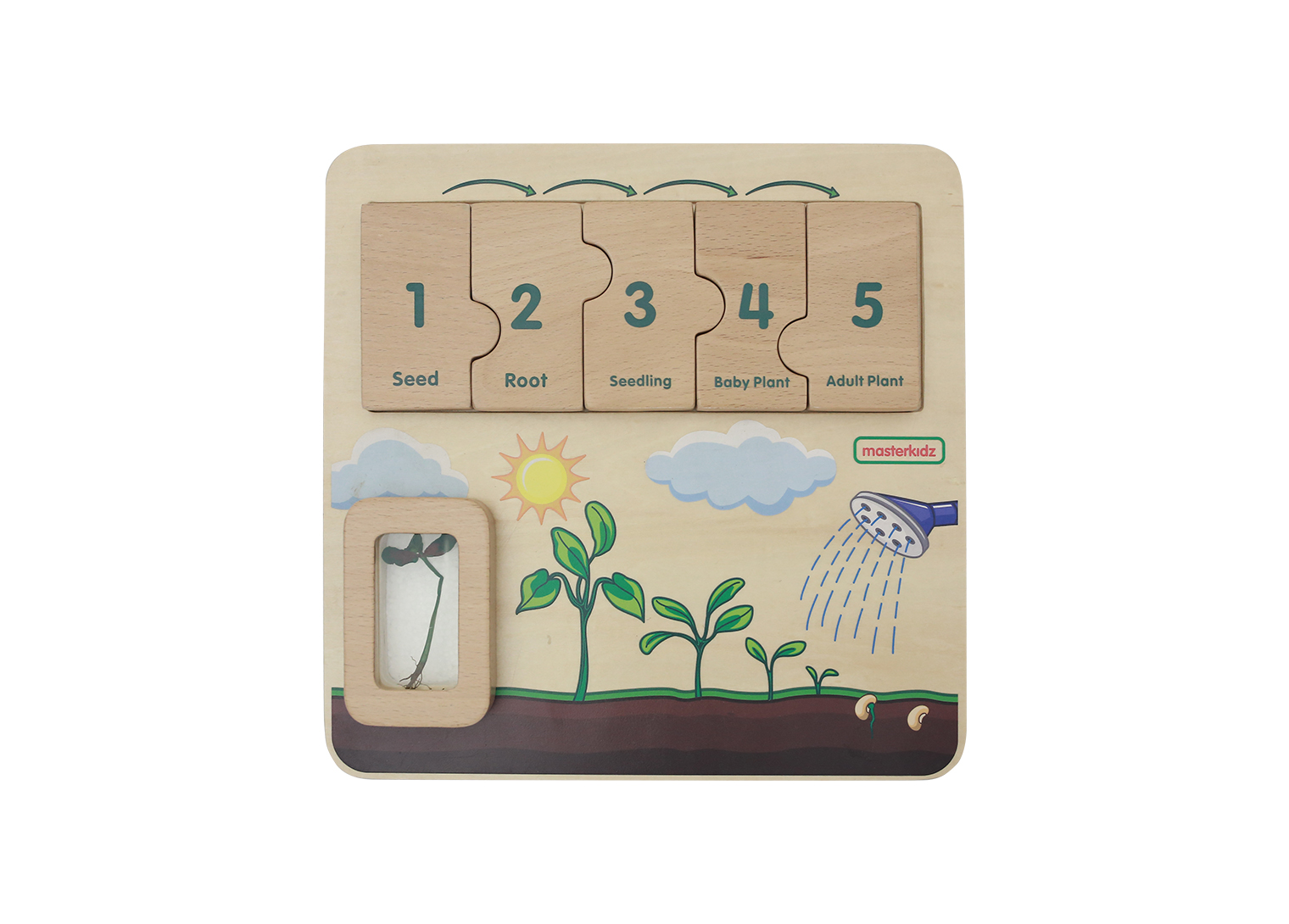 Plant Life Cycle Handy Learning  Board